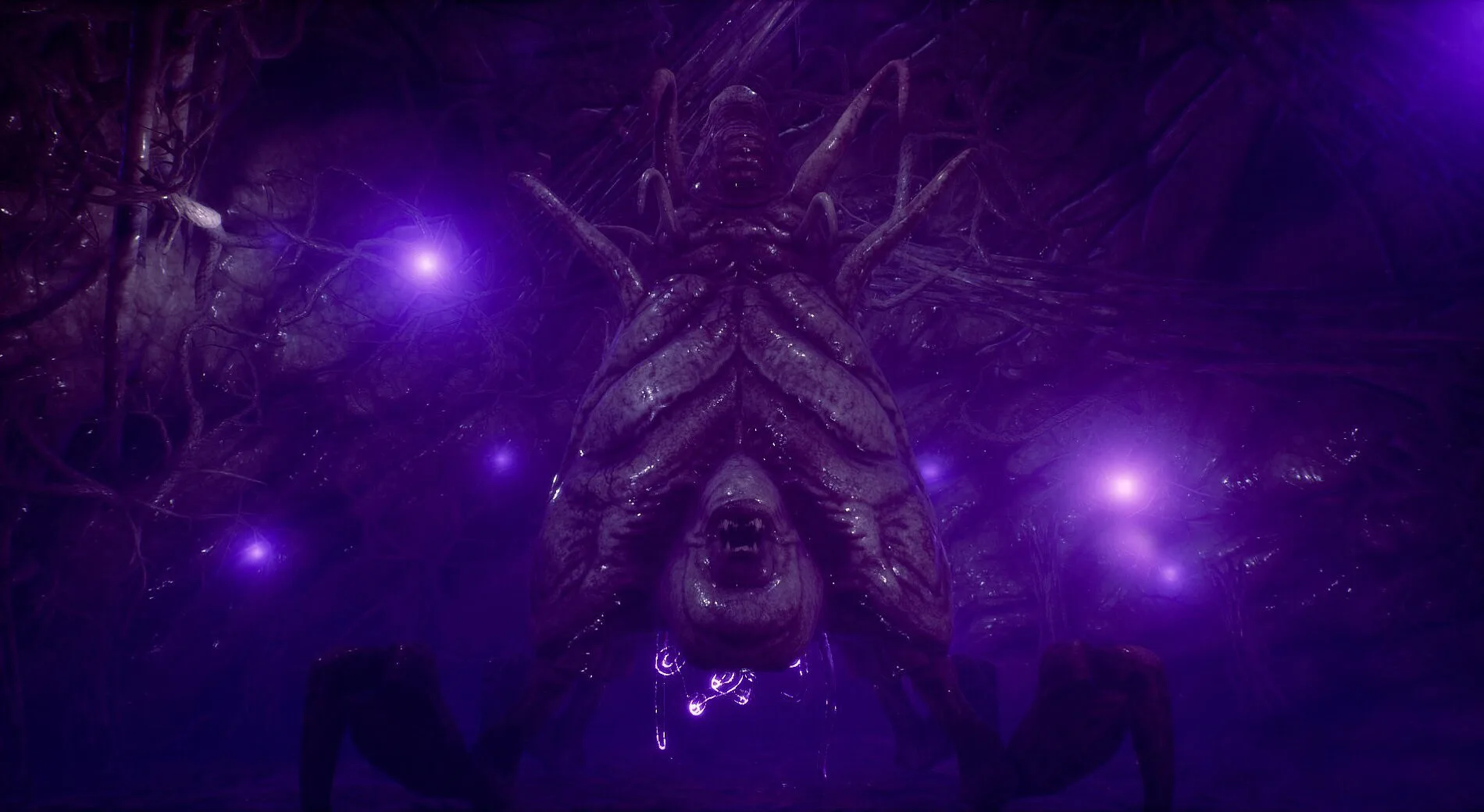 亨特拉尔后,荷兰队,战独占鳌头,足彩,体彩,彩票,体育彩票,足球彩票,彩票合买,重庆时时彩